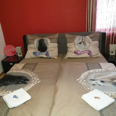 Haus Timea Apartmán *